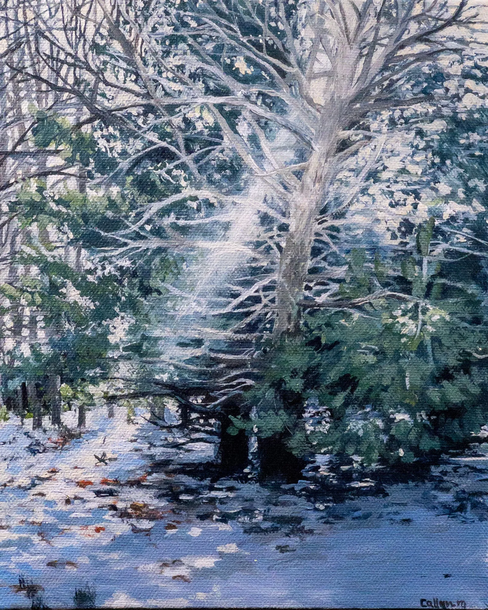 Painting by Callan