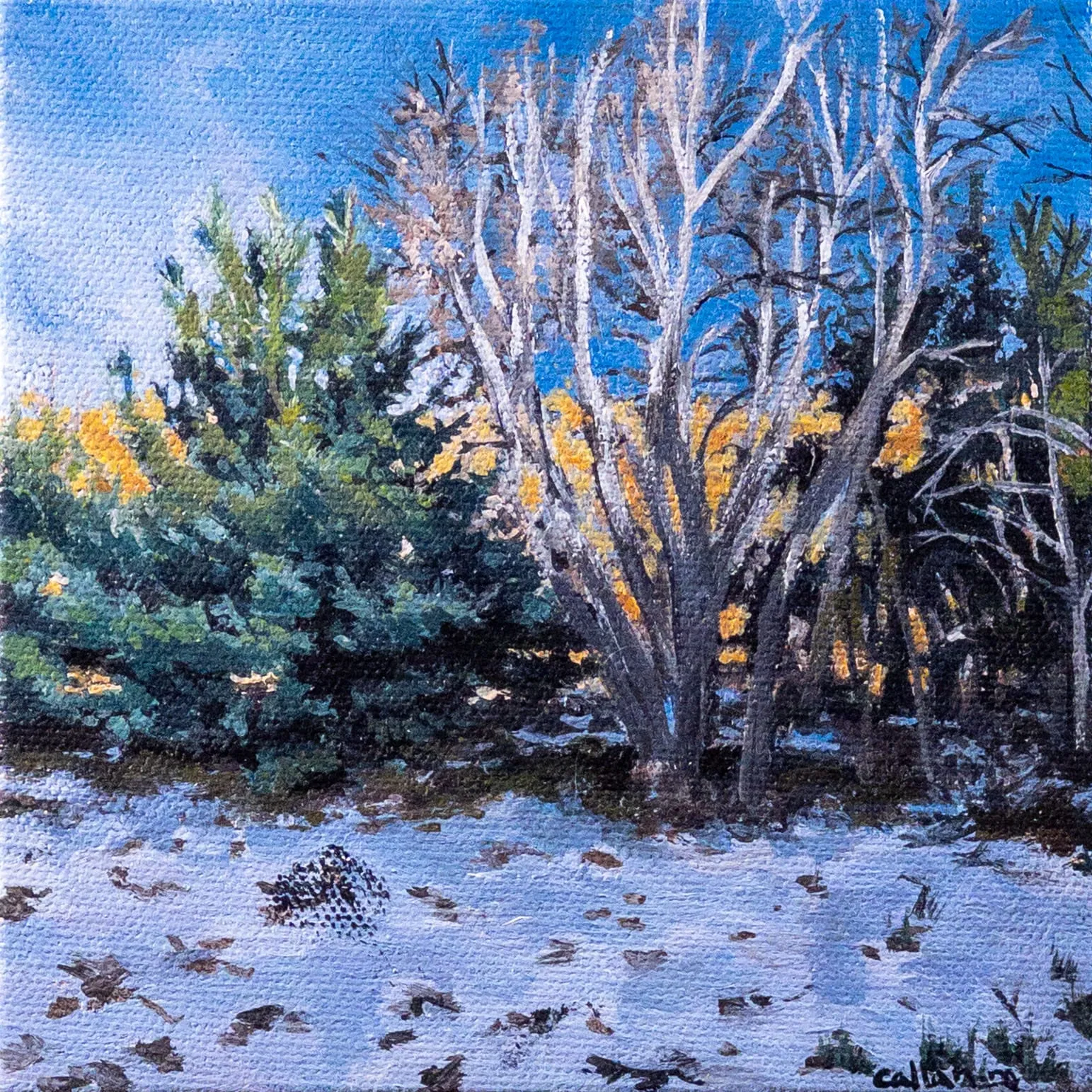 Painting by Callan