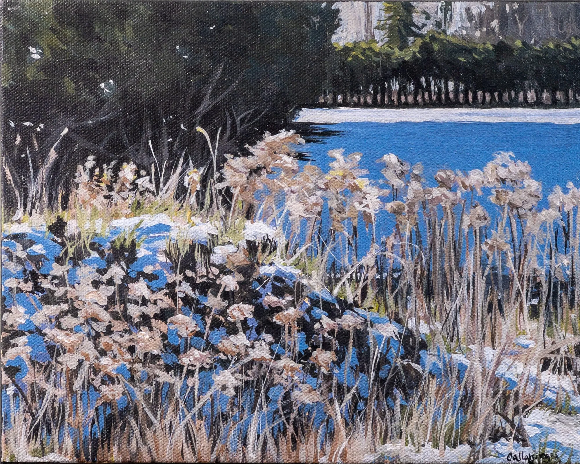 Painting by Callan