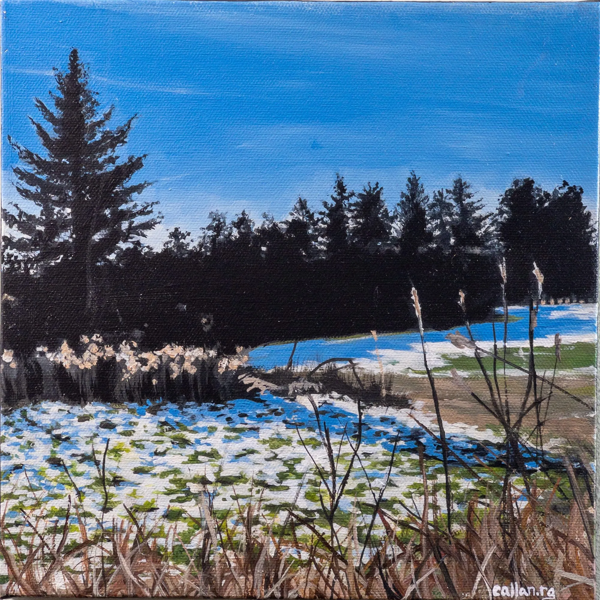 Painting by Callan