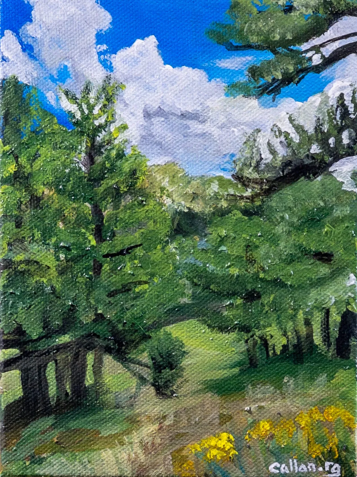 Painting by Callan