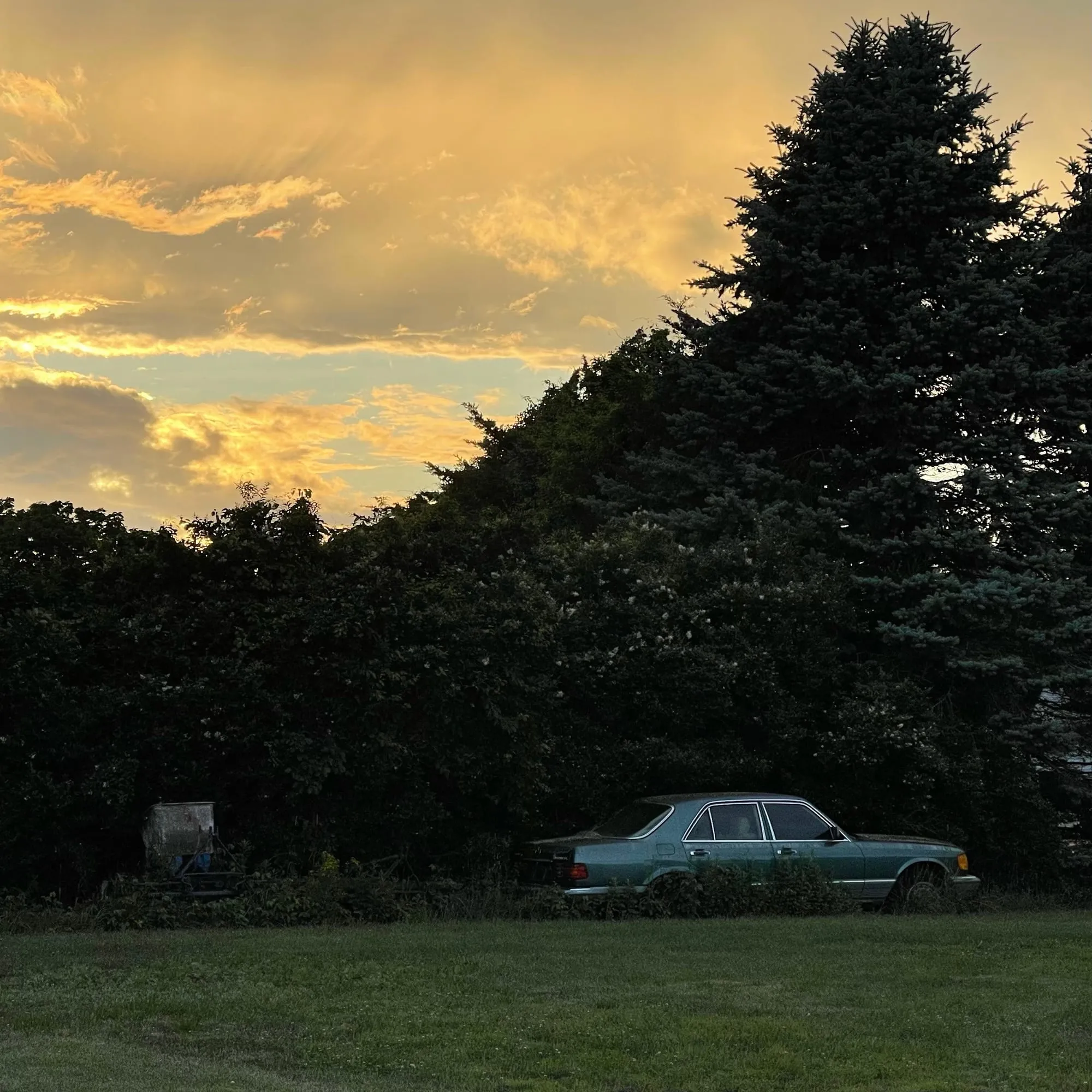 Photo by Callan