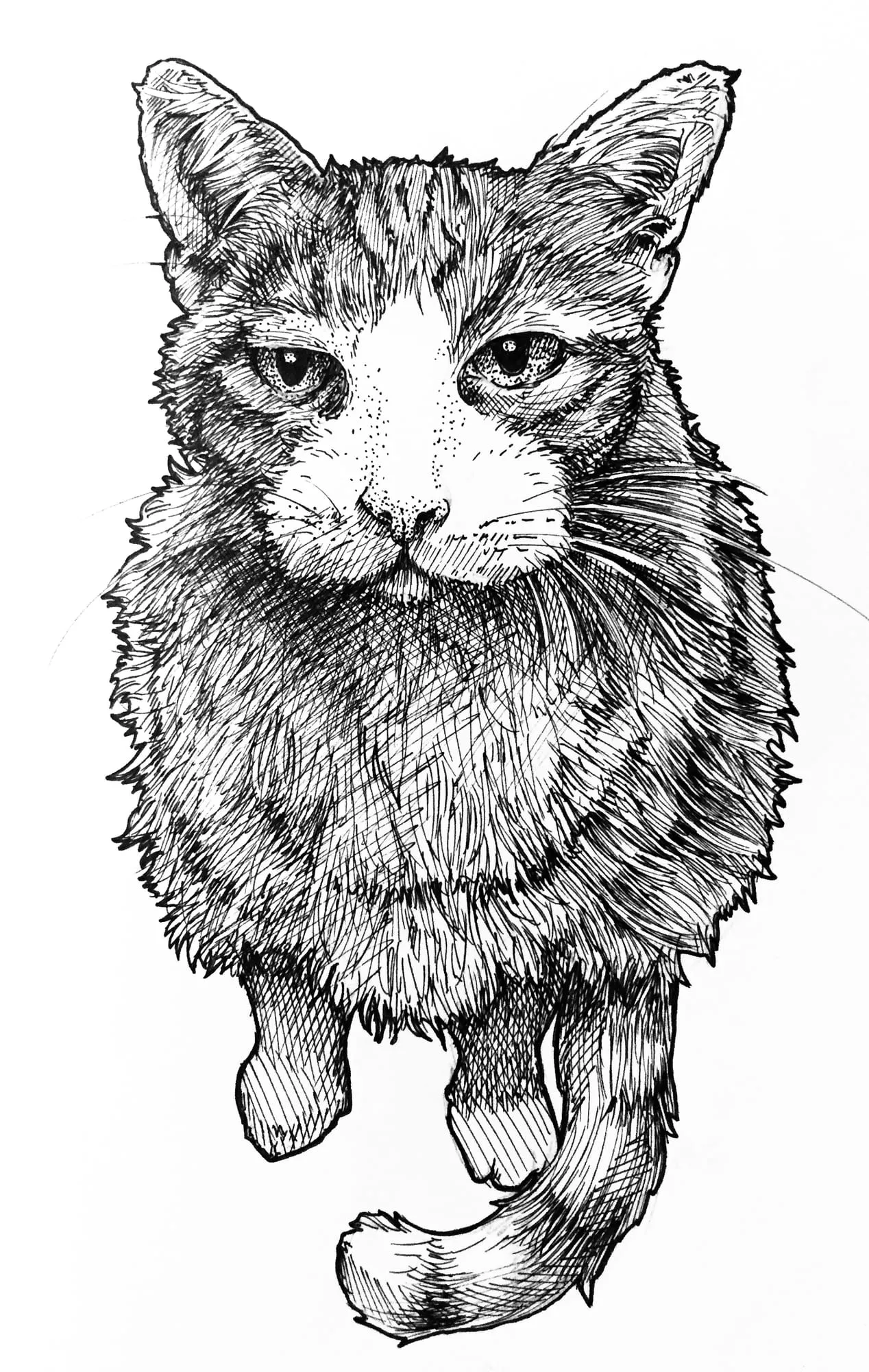 Drawing by Callan