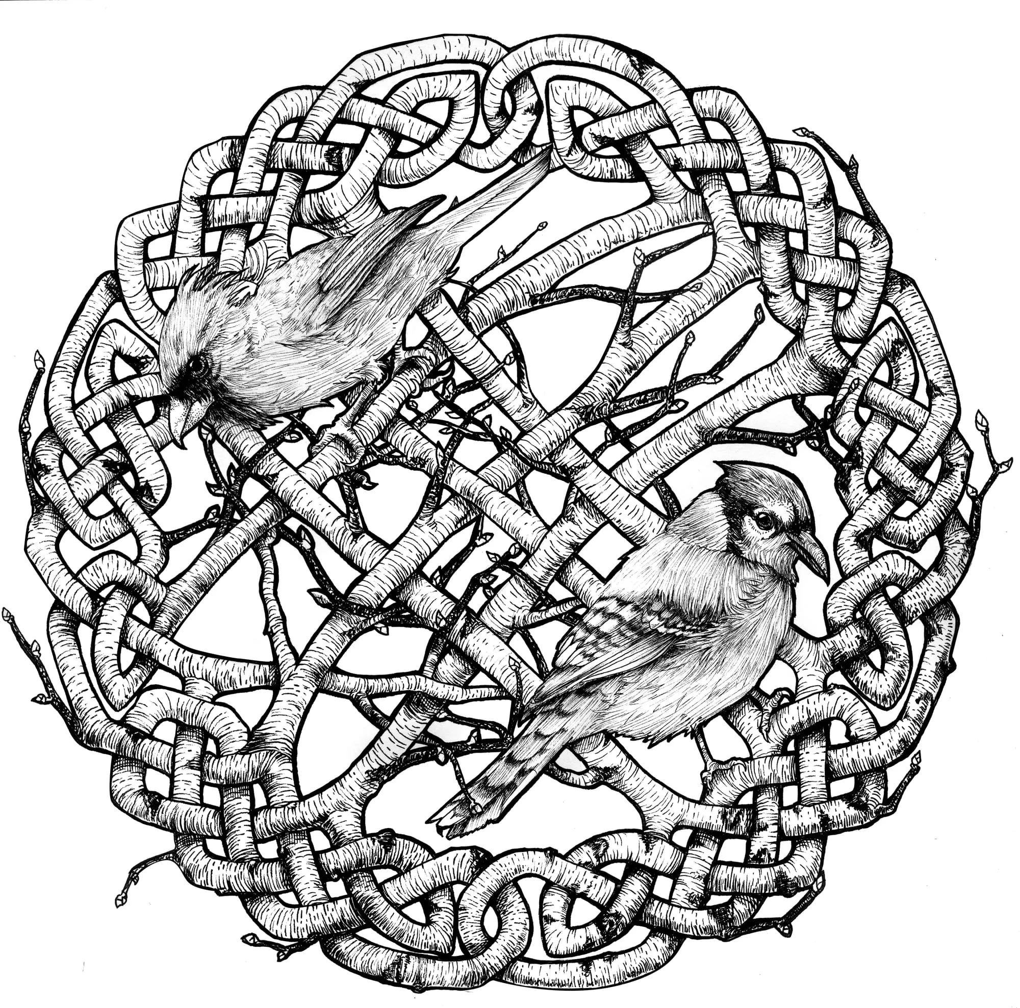 Drawing by Callan