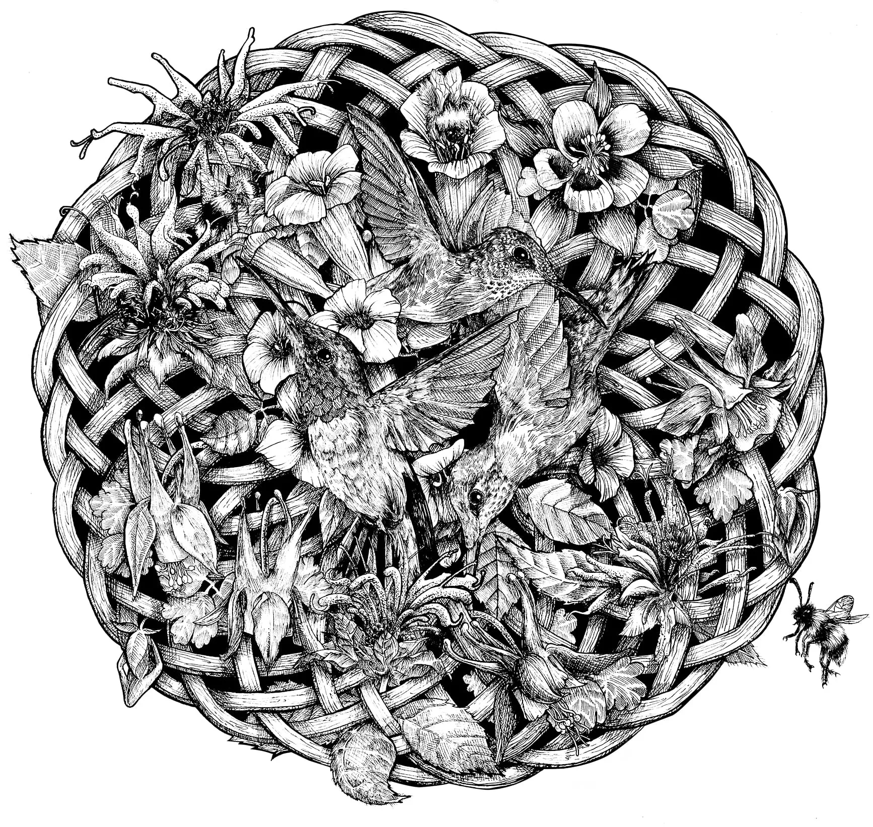 Drawing by Callan