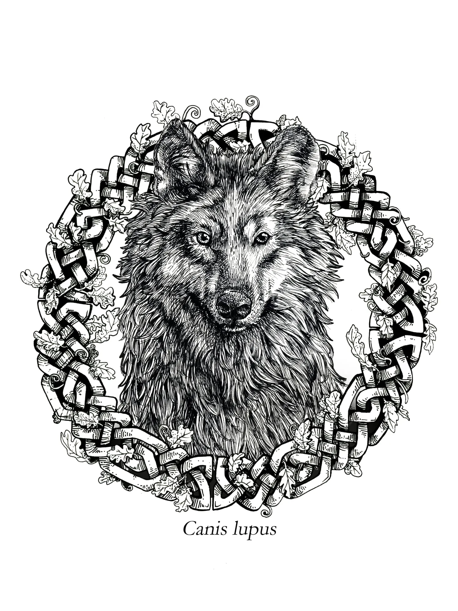 Drawing by Callan