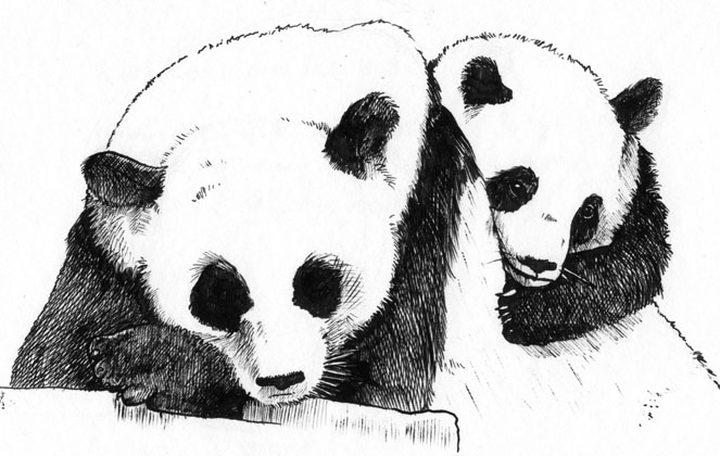 Pen-and-ink greeting card designs
