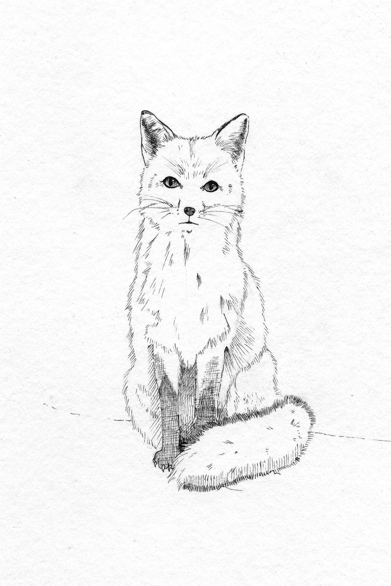 Pen-and-ink greeting card designs