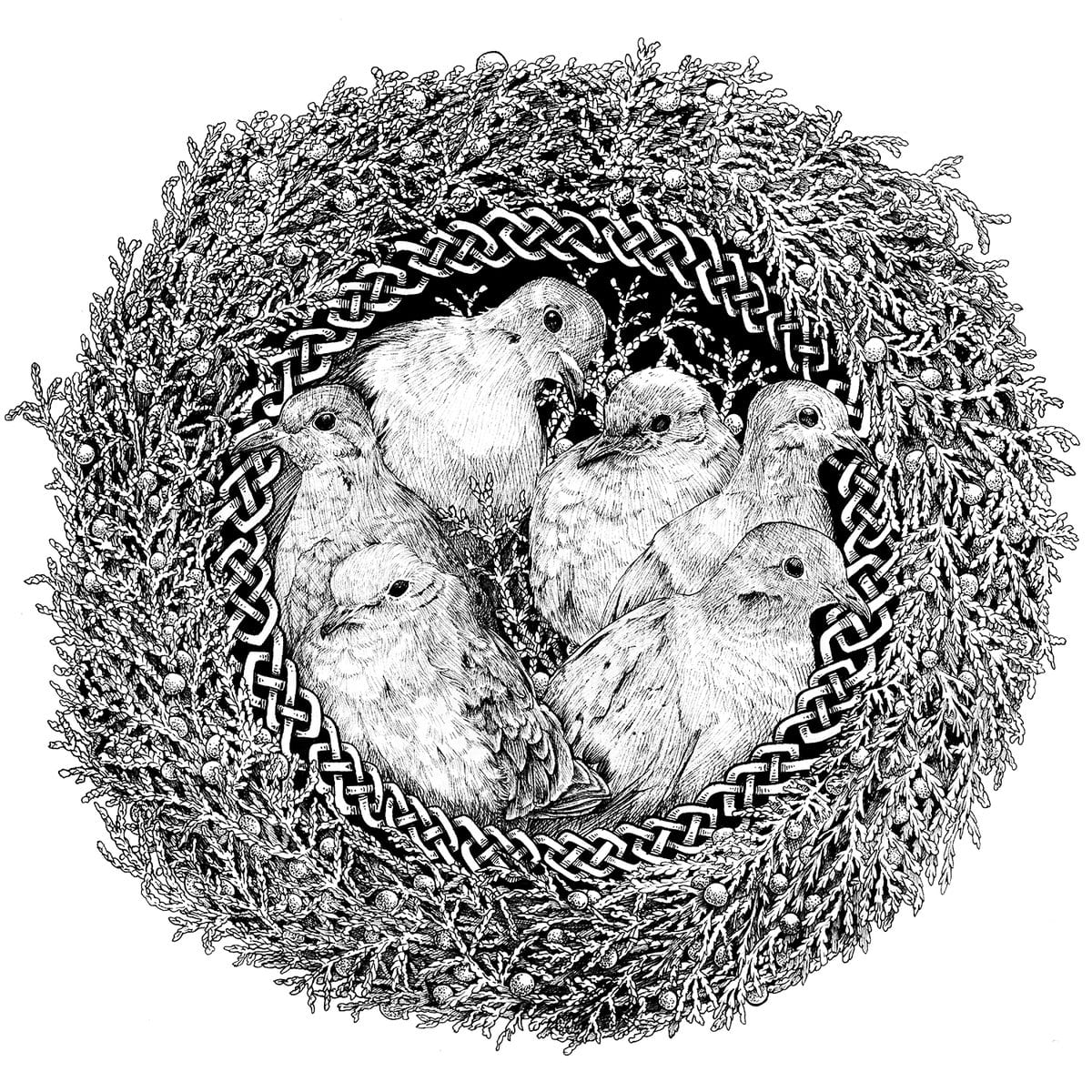 Detailed pen-and-ink birds surrounded by Celtic knotwork and foliage