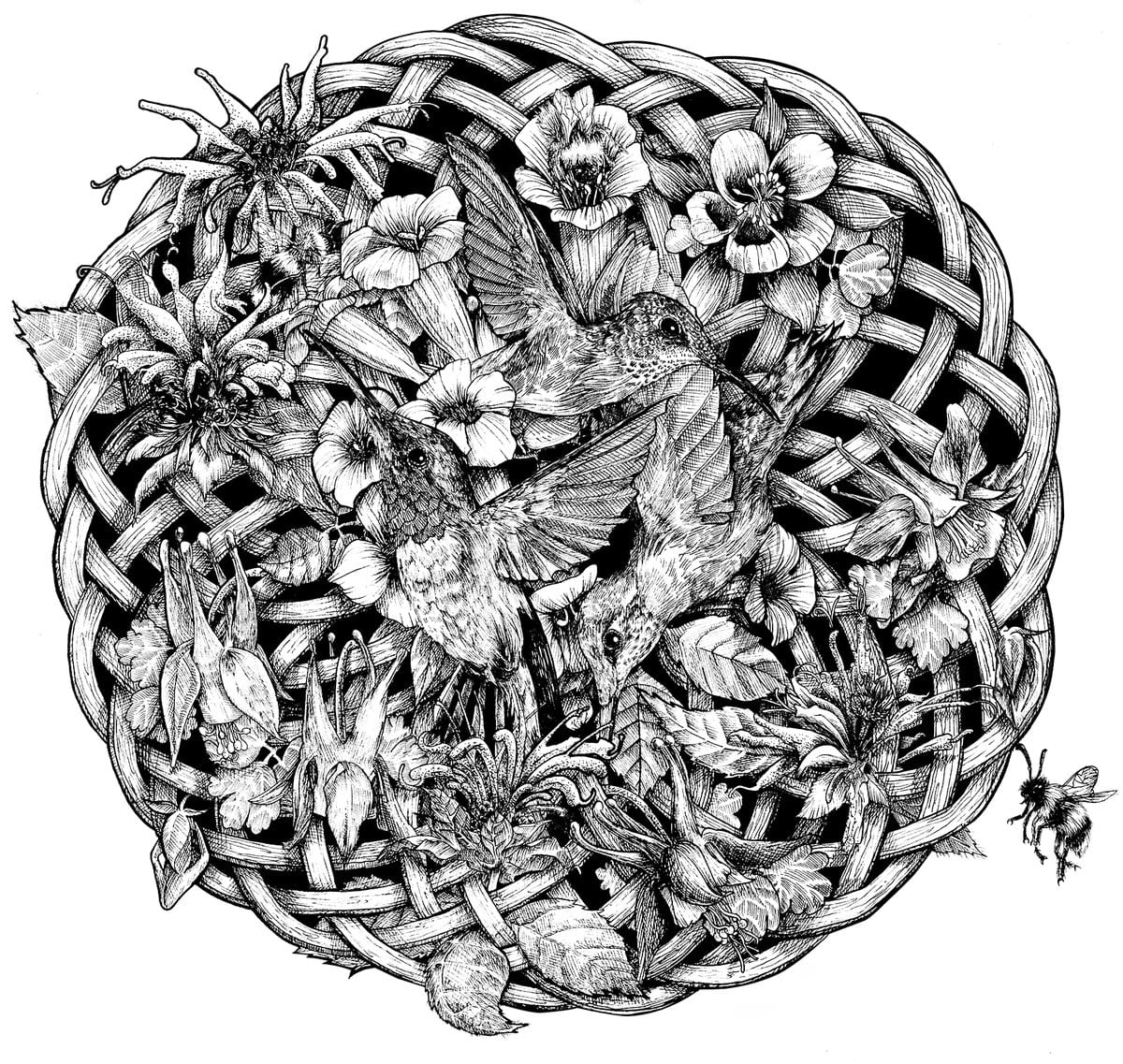 More pen-and-ink Celtic-inspired work