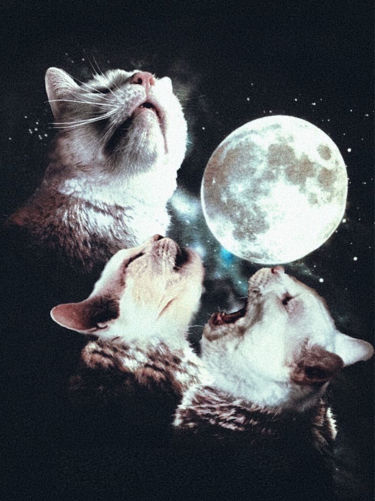 Early Photoshop work