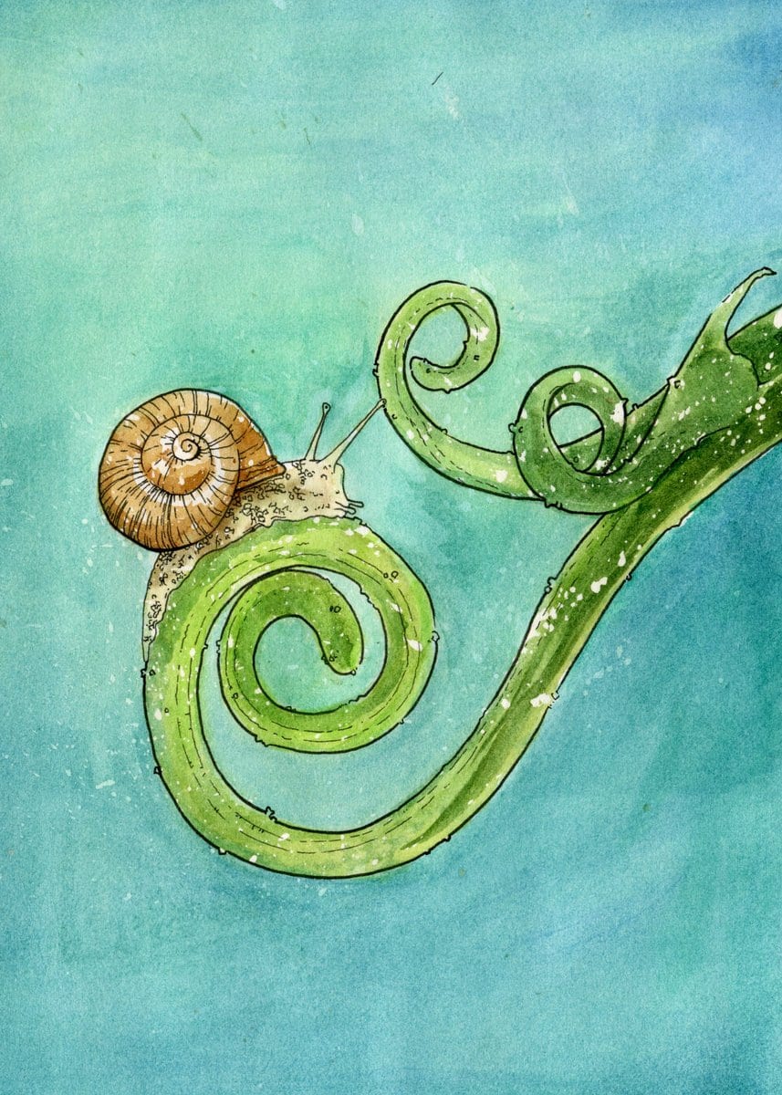 Watercolor children's book illustration