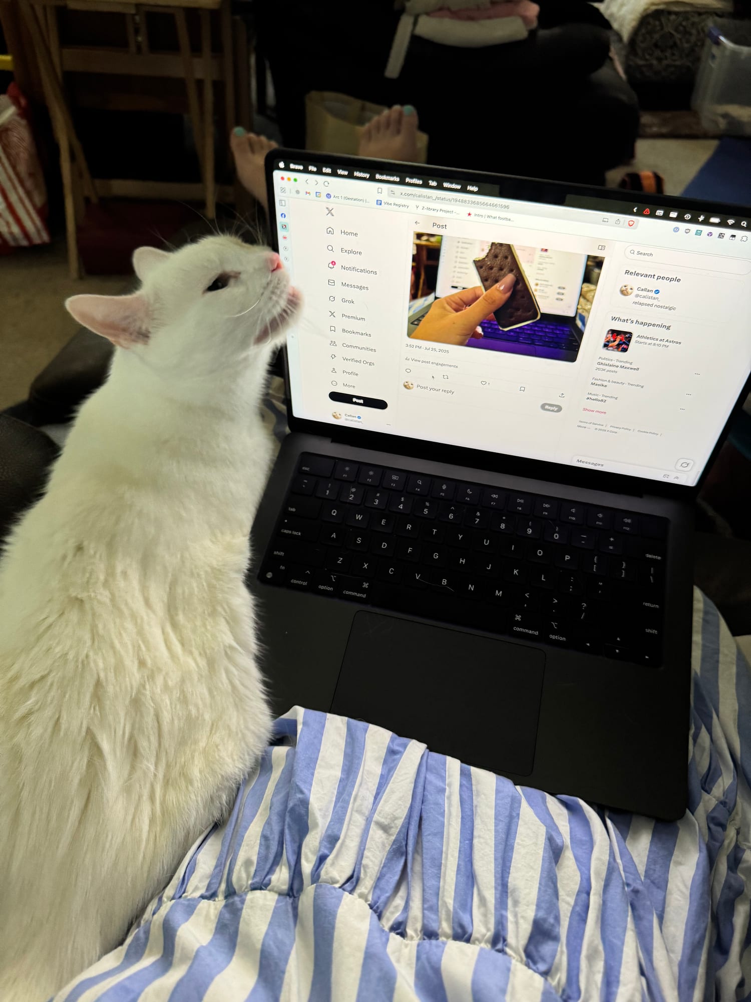 Greg rubbing his face on the laptop
