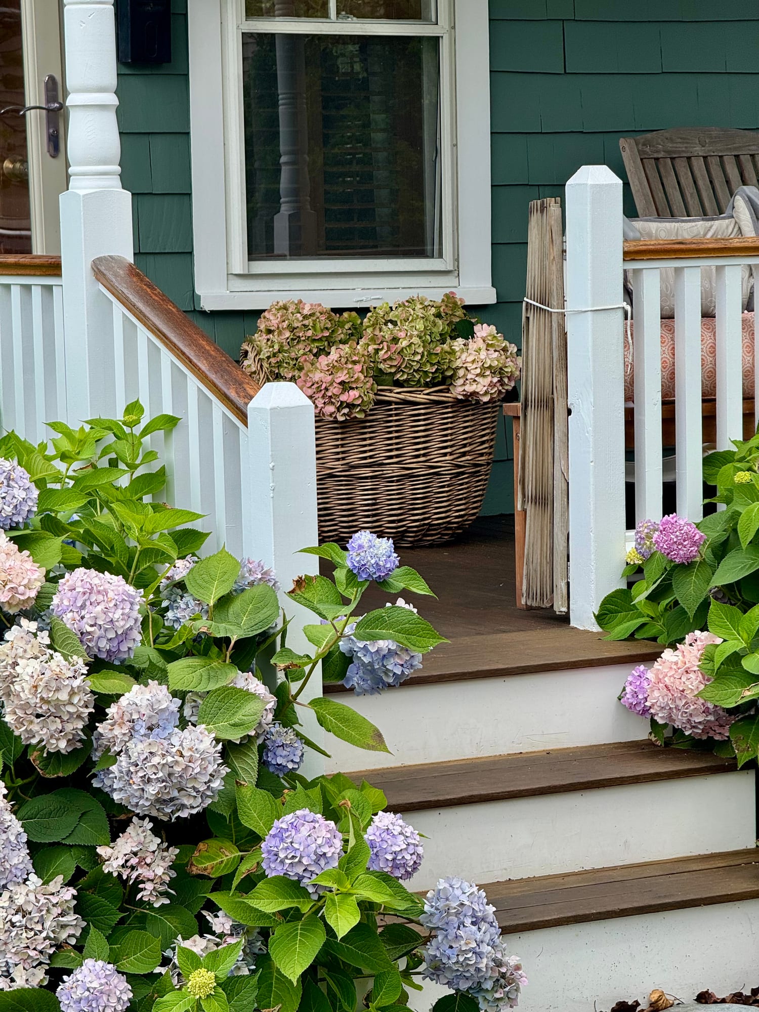 More hydrangeas