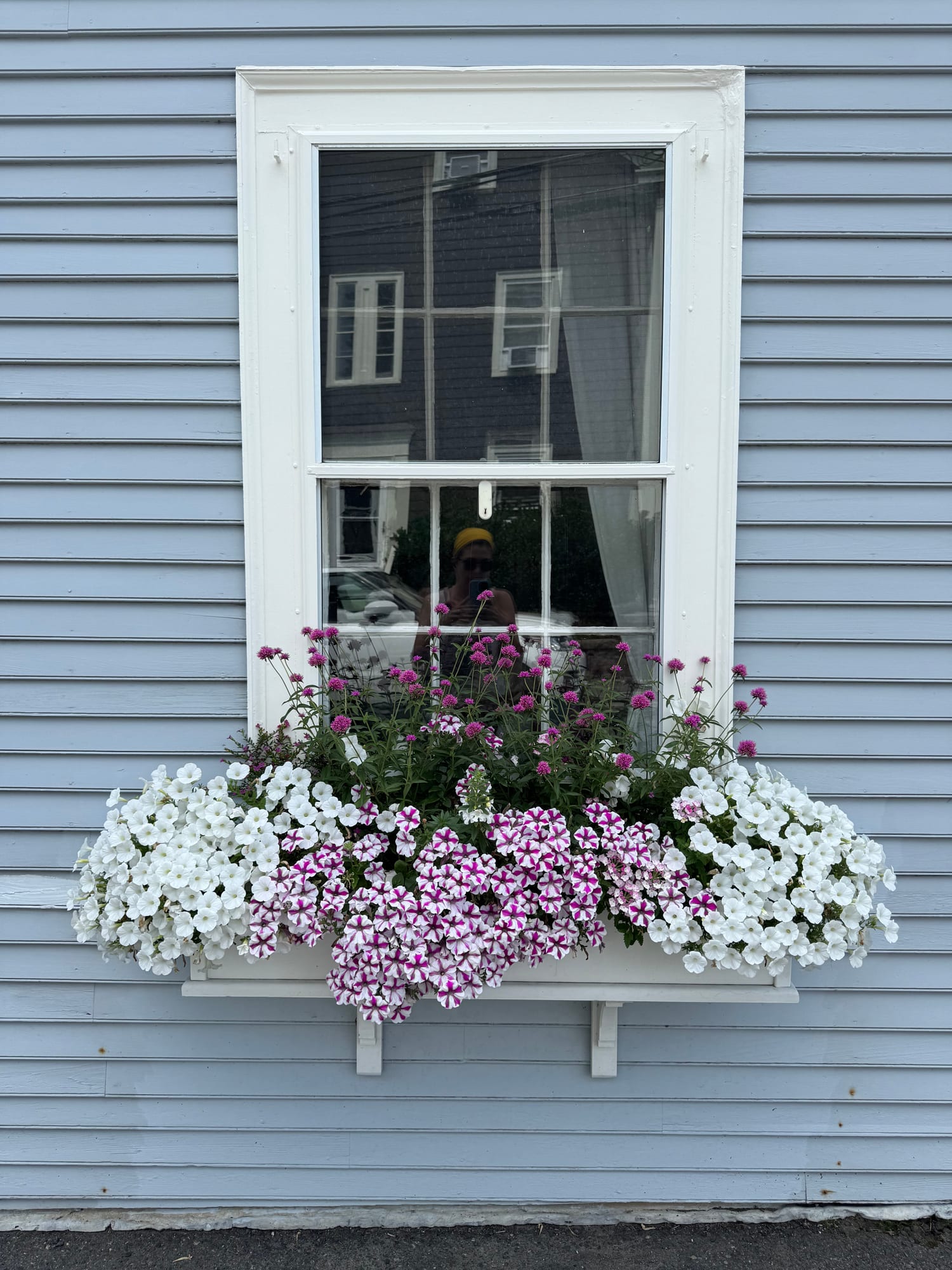 Marblehead scene 4