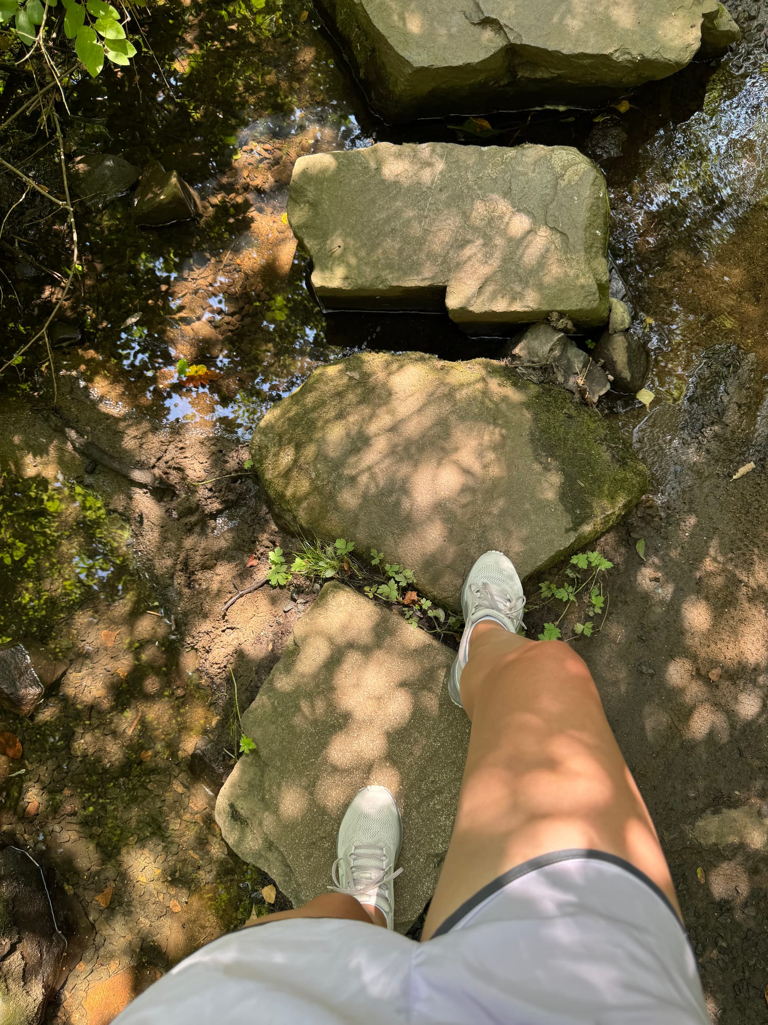 Running over a rocky stream