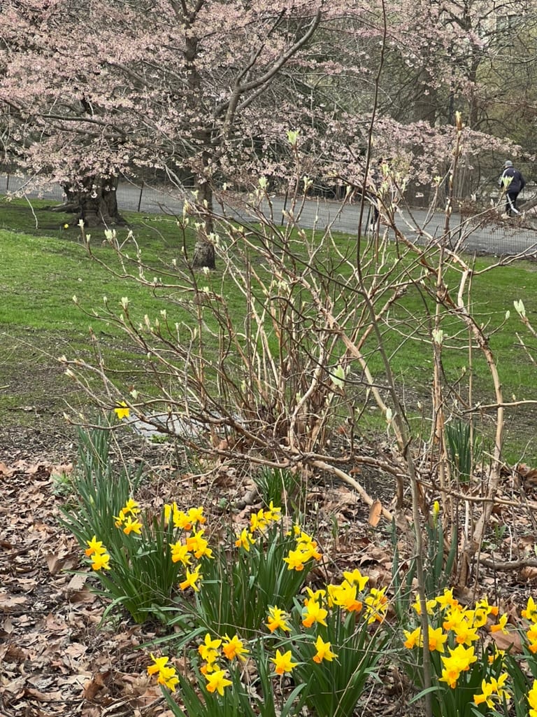 My focus this spring has been on the small indicators of growth: tiny buds, new