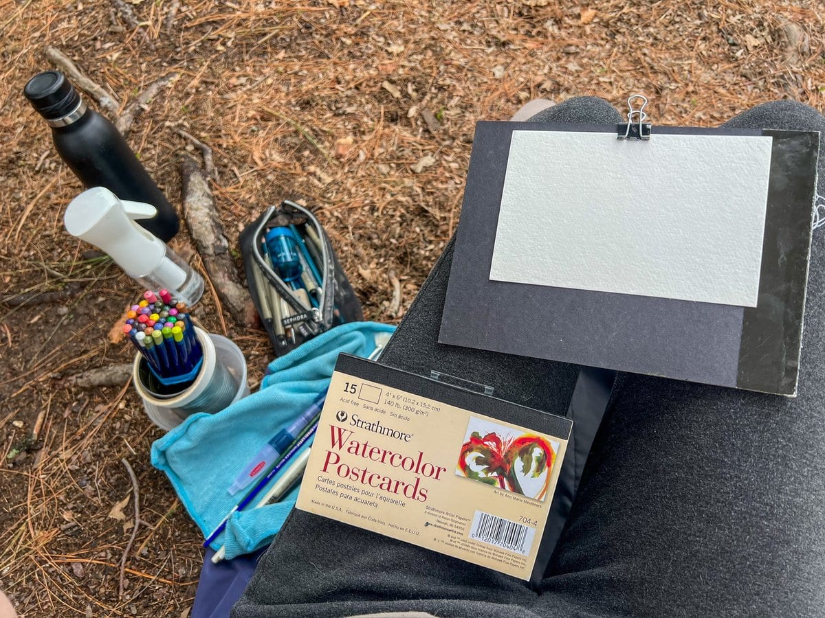 I sat with my supplies - some Derwent inktense pencils, regular pencils, Micron