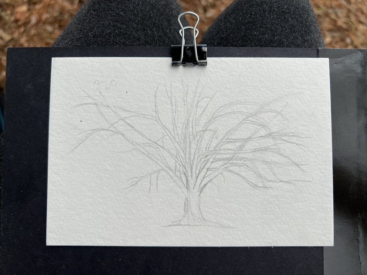 Initial sketch: okay, those branches look fine