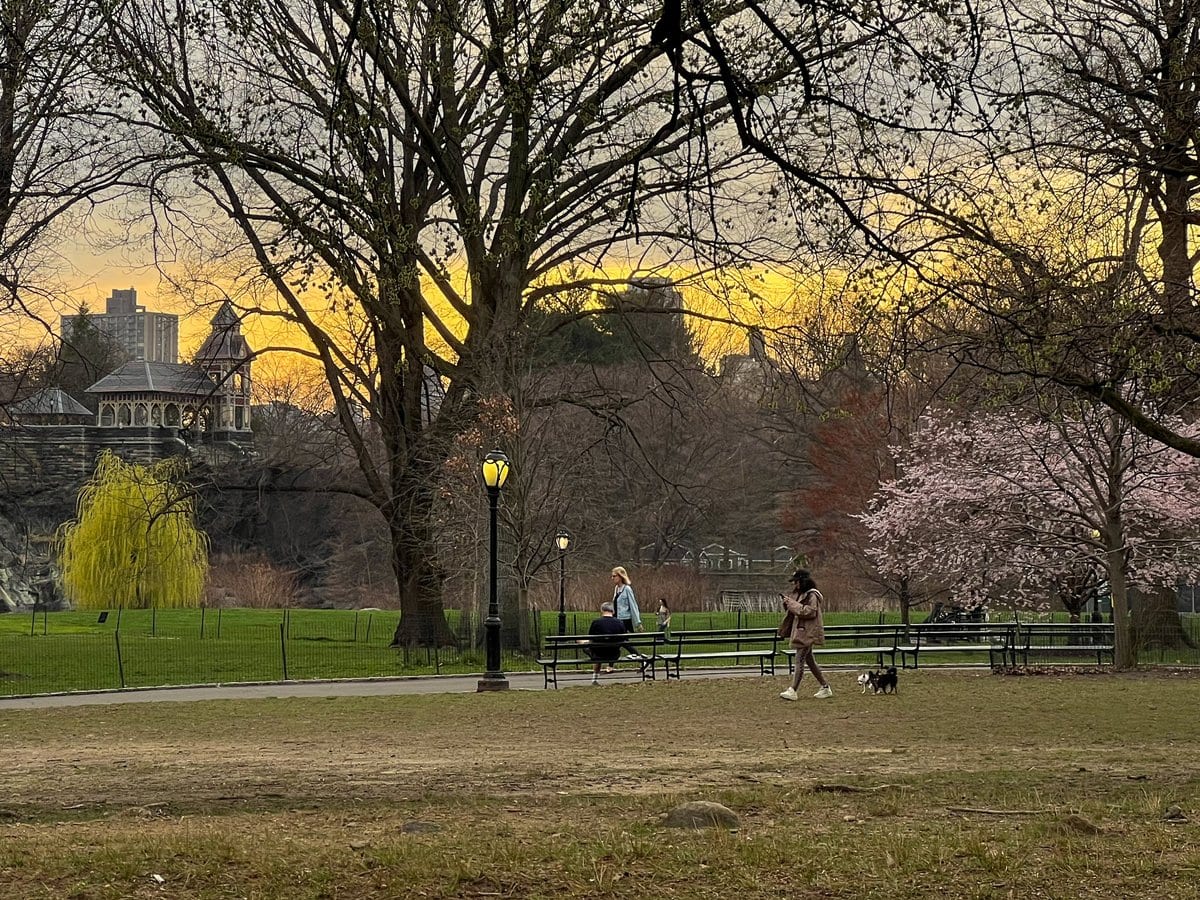 By now it was about 6pm and an overcast "golden-ish hour" seemed to be upon us