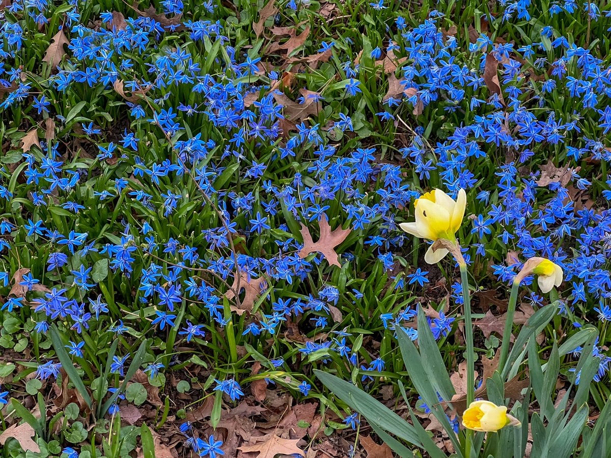 Can't forget to look closer at the flowers and flowering shrubs