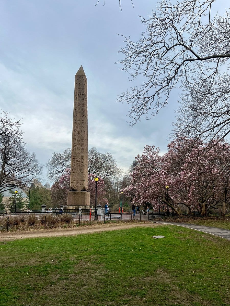 The best magnolias were by the obelisk, by the way