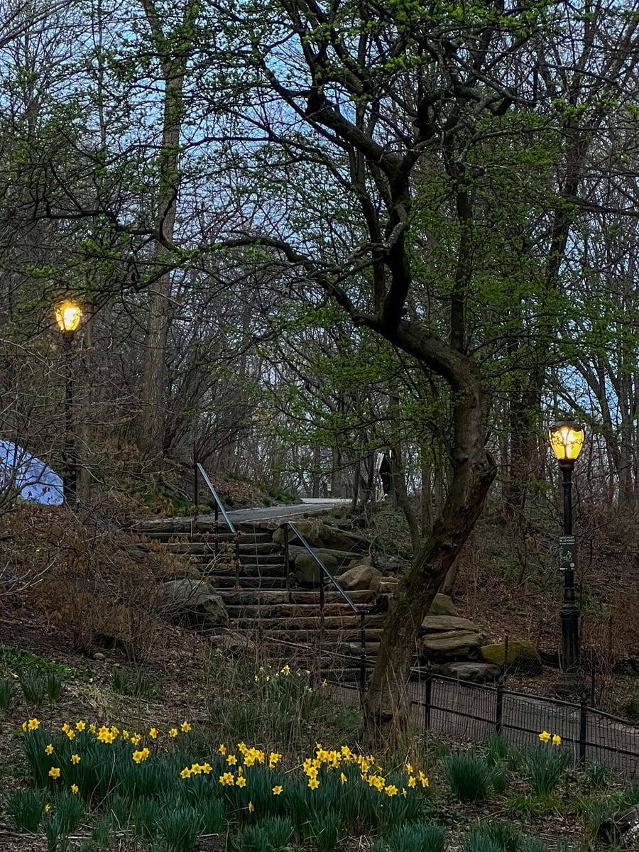 Everything looked different at dusk (and my aging iPhone camera started to strug