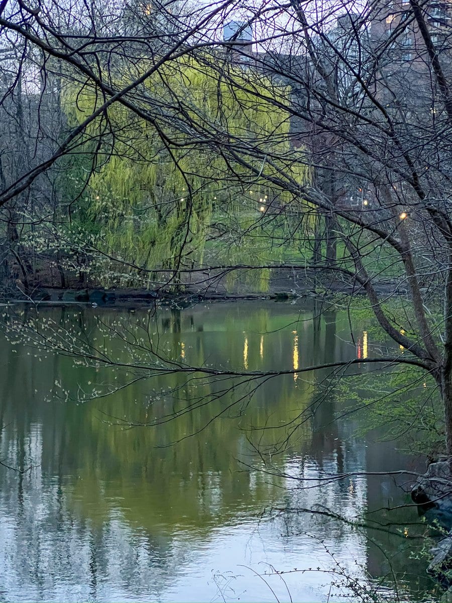 Everything looked different at dusk (and my aging iPhone camera started to strug