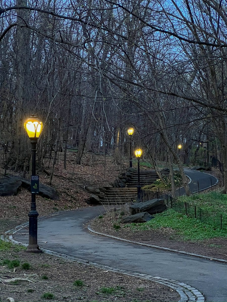 Everything looked different at dusk (and my aging iPhone camera started to strug