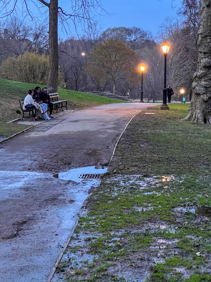 Everything looked different at dusk (and my aging iPhone camera started to strug